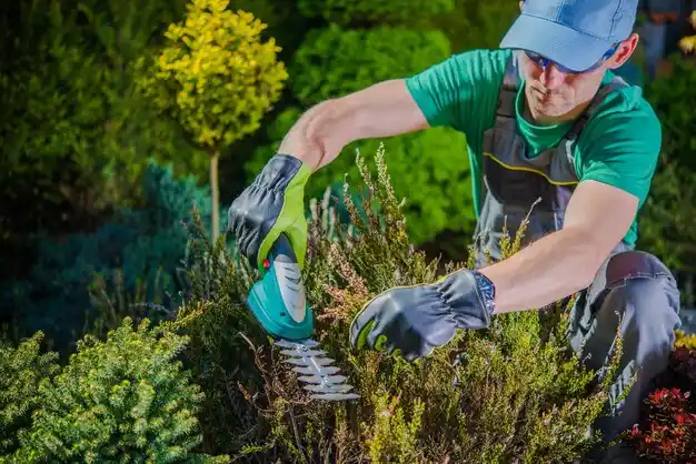landscaping services Chagrin Falls